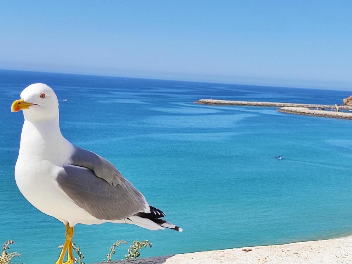 Alzira By Rossio Lejlighed Albufeira Eksteriør billede
